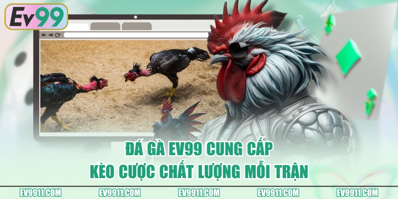 Đá Gà EV99 cung cấp kèo cược chất lượng mỗi trận
